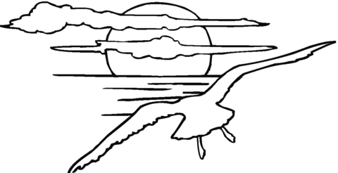 Seagull In The Sunset Coloring Page